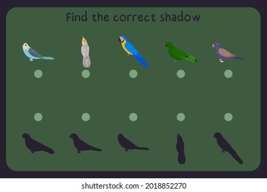 Matching children educational game with parrots - budgies, cockatiel, macaw, eclectus, bronze wing pionus. Find the correct shadow. Vector illustration.