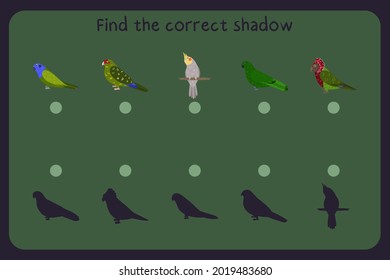 Matching children educational game with parrots - pionus, kakariki, cockatiel, eclectus, red fan parrot. Find the correct shadow. Vector illustration.