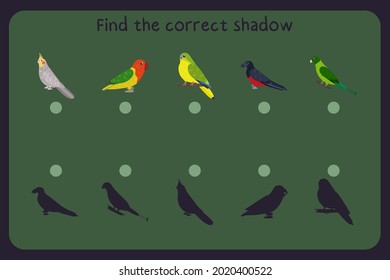 Matching children educational game with parrots - cockatiel, lovebird, neophema, pesquets, racket tail. Find the correct shadow. Vector illustration.