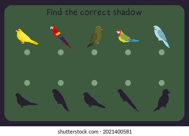 Matching children educational game with parrots - kakariki, macaw, kea, rosella, rose ringed. Find the correct shadow. Vector illustration.