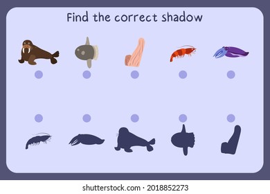 Matching children educational game with sea animals - walrus, sunfish, sponge, shrimp, cuttlefish. Find the correct shadow. Vector illustration.