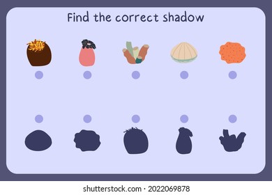 Matching children educational game with sea animals - sea anemone, coral, shall, sponge. Find the correct shadow. Vector illustration.