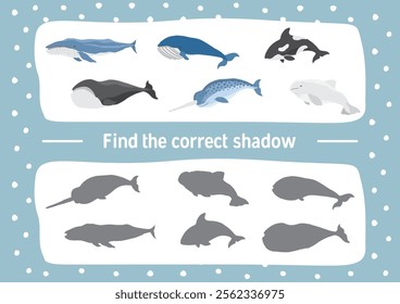 Matching game for children with cute cartoon polar sea animals, Logical activities for kids, Match sea animals with the correct shadow. Vector illustration.