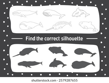 Matching game for children with cute cartoon polar sea animals, Logical activities for kids, Match sea animals with the correct shadow. Vector illustration.