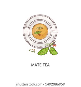 Mate tea drink in glass cup, traditional Argentina yerba herb beverage from top view with green leaves and berries, teacup and plate combo with yellow liquid - isolated hand drawn vector illustration