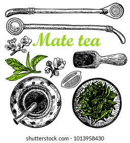 Mate tea set. Sketch. Vector illustration of a calabash and bombilla with yerba mate tea, hand drawn image of a healthy drink with coffeine, strong stimulator, herbal hot traditional tea in argentin.