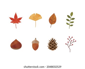 Material of fallen leaves and nuts in autumn.