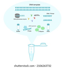 The materials ( DNA template, DNA polymerase enzyme, dNTPs, DNA Primer, buffer, Probe or SYBGreen and water) were mixed in one tube for polymerase chain reaction (PCR) or real-time PCR reaction.