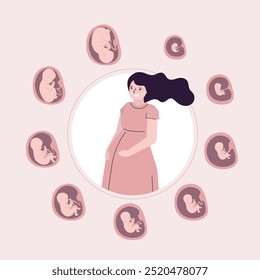 Maternidade, retrato de mulher grávida feliz. Embrião no útero, conjunto de ícones. Desenvolvimento fetal e crescimento durante a gestação. Estágio mensal, infográfico médico. Bebê aguardando. ilustração de vetor plana