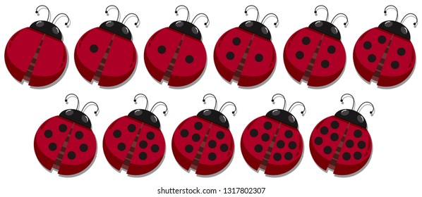 Math count ladybug spots  illustration