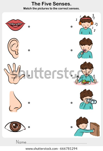 Math Picture Correct Five Senses Touch Stock Vector (Royalty Free