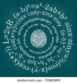 Mathematical formulas, arranged in a circle. Sketch of the brain. Hand drawing. Vector image