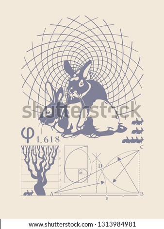 A mathematical riddle. Sequence of numbers. Calculations and business. Rabbits and regularity. Harmony in nature.
