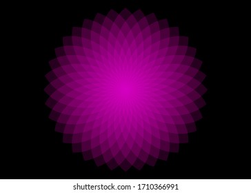 Mathematical symbol, purple lotus logo. Mandala design. Flower of Life. Sacred Geometry. Pattern of rotating circles. Balance and harmony. Neon pink circles. Vector illustration isolated on black