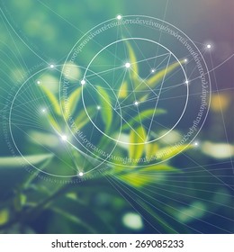 Mathematical symbols and digits in nature. The formula of nature. Greek letters. There is no beginning and no end of the Universe, and no beginning and no end of the Life and the Bliss.