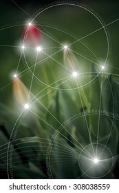 Mathematical symbols and digits in nature. The formula of nature. Greek letters. There is no beginning and no end of the Universe, and no beginning and no end of the Life and the Bliss.
