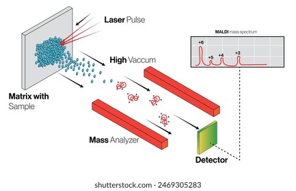 Matrix Assisted Laser Desorption Ionization MALDI Working Principle and Instrumentation, Scientific Vector Illustration.