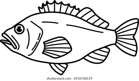 Matsubara's rockfish isolated vector illustration