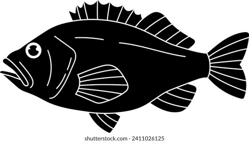 Matsubara's rockfish isolated vector silhouette