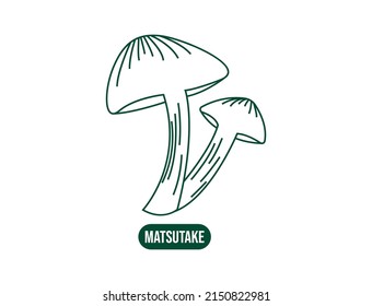 Matsutake-Pilz-Linie, Vektorgrafik 