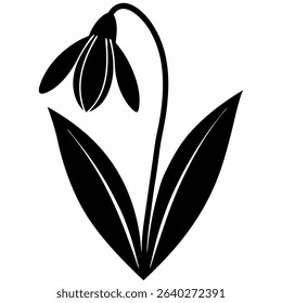 Matt Bishop Snowdrop Flower Silhouette Isolated on White Background – Minimalist Vector Illustration

