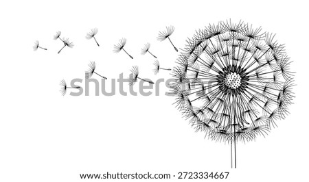 Mature dandelion flower head with seeds being carried away by the wind is depicted in a delicate black and white line art sketch.