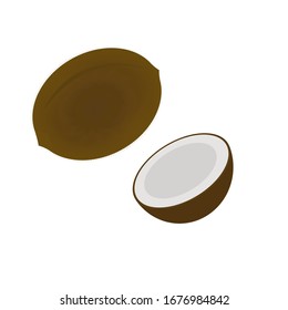 Mature fallen shaggy tropical coconut, walnut, flat illustration, isolated on white background, fruit collection