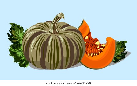 Mature hairy and orange pumpkins