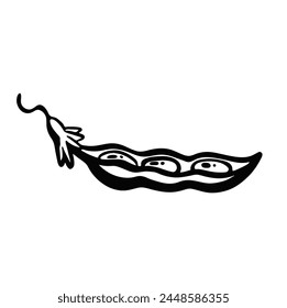 Ilustración vectorial madura de línea de boceto de vaina de soja o guisante abierta larga.