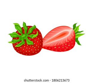 Mature Red Strawberry Whole and Half with Leaves Vector Illustration