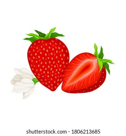 Mature Red Strawberry Whole and Half with Leaves Vector Illustration