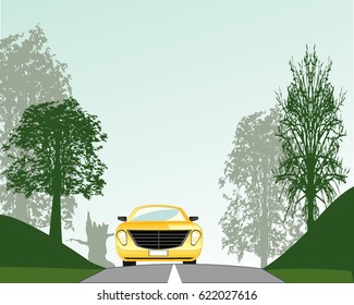 Matutinal wood and asphalt road with car on her