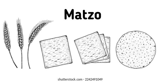 Matzo cooking and ingredients for matzo illustration. Middle eastern cuisine. Traditional passover food, design elements. Hand drawn, menu and package design. Jewish food.