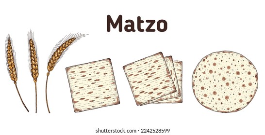 Matzo cooking and ingredients for matzo illustration. Middle eastern cuisine. Traditional passover food, design elements. Hand drawn, menu and package design. Jewish food.