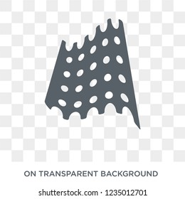 Matzo icon. Trendy flat vector Matzo icon on transparent background from Religion  collection. 