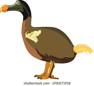 The Mauritius dodo is an extinct species of flightless bird. Vector illustration