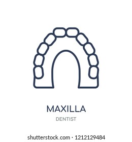 Maxilla icon. Maxilla linear symbol design from Dentist collection. Simple outline element vector illustration on white background.