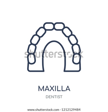 Maxilla icon. Maxilla linear symbol design from Dentist collection. Simple outline element vector illustration on white background.