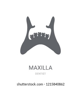 Maxilla icon. Trendy Maxilla logo concept on white background from Dentist collection. Suitable for use on web apps, mobile apps and print media.