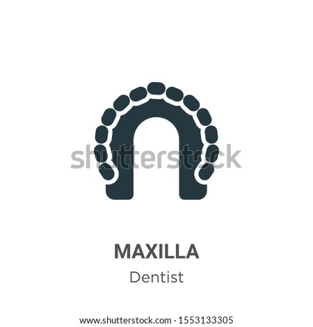 Maxilla vector icon on white background. Flat vector maxilla icon symbol sign from modern dentist collection for mobile concept and web apps design.