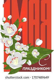 May 1 is International Labor Day. May Day, the feast of Spring and Labor. Text in Russian: 1May,  Happy holiday! letters, flowers.