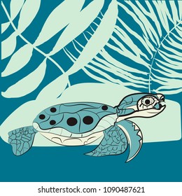 May 23 - World Turtle Day, undrewater clipart , seashells and plants