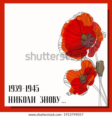 Image, Stock Photo Poppy day again Nature
