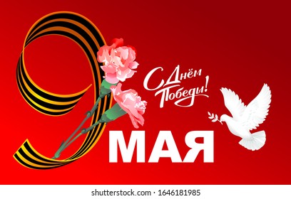 May 9 Victory Day text translation from Russian. Greeting card Victory Day dove of peace and bouquet of red carnations