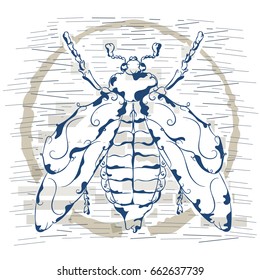 May beetle insect. Fashion print on a T-shirt. Print insects.