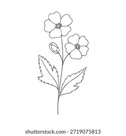 Espino de flor de mayo, Vector de arte de línea, ilustración botánica en blanco y negro, boceto floral elegante, dibujo de contorno minimalista, diseño de flores monocromo dibujado a mano, estética vintage