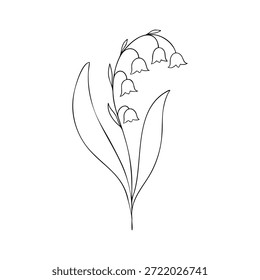 May birth flower lily of the valley, line art vector, black and white botanical illustration, elegant floral sketch, minimalist outline drawing, hand drawn monochrome flower design, vintage aesthetic