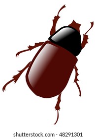 may bug
