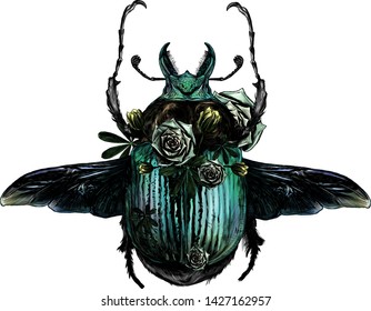 may bug scarab with wings top view and scenery of green plants and flowers, sketch vector graphic color illustration on white background