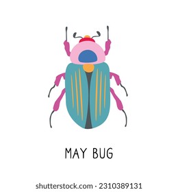 may bug scarab with wings top view, vector graphic color illustration on white background